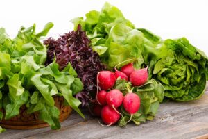 Caregiver-in-Somerset-NJ